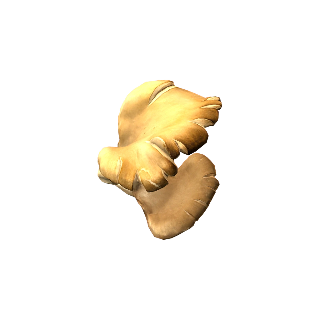 Вешенка (PleurotusMushroom), DayZ