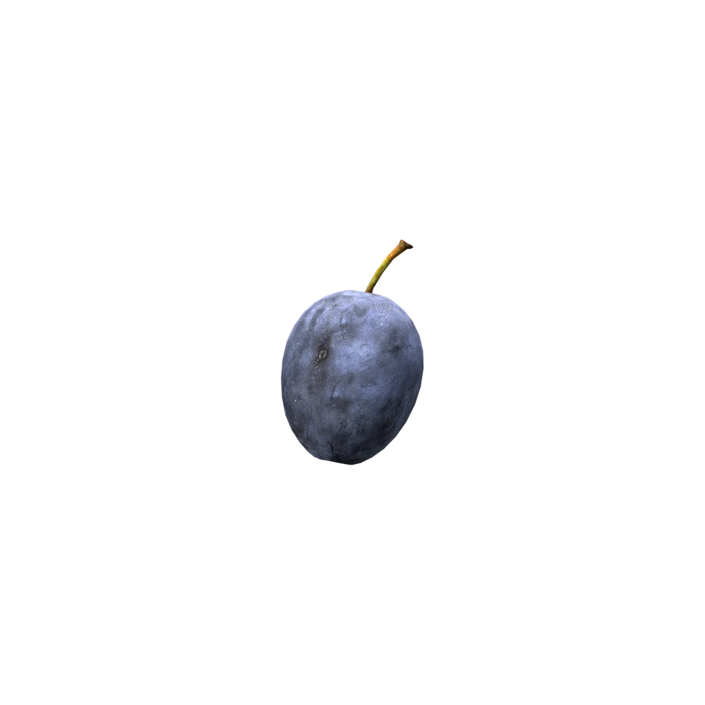 Слива (Plum), DayZ