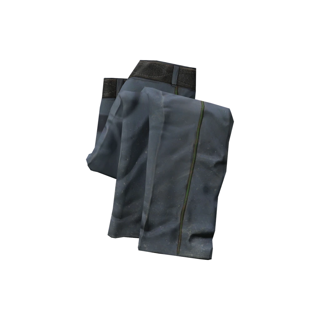 Polizeihose (PolicePants), DayZ