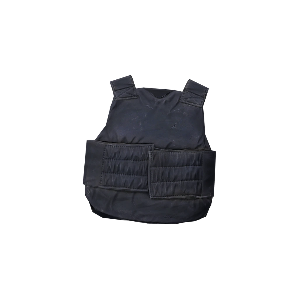 Противоударный жилет (PoliceVest), DayZ