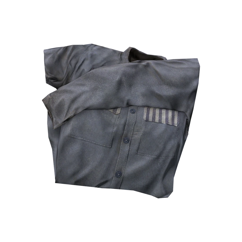 Куртка заключенного (PrisonUniformJacket), DayZ