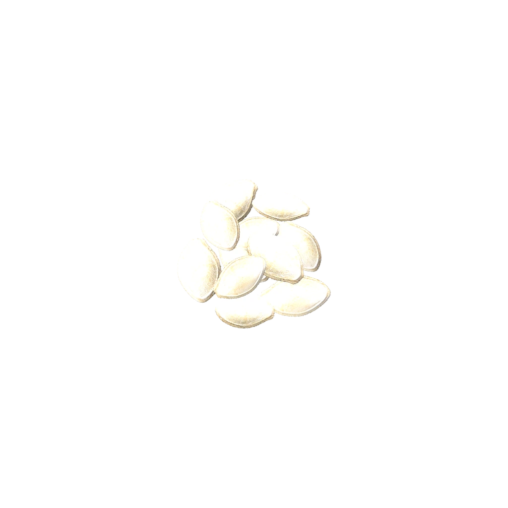 Sementes de abóbora (PumpkinSeeds), DayZ