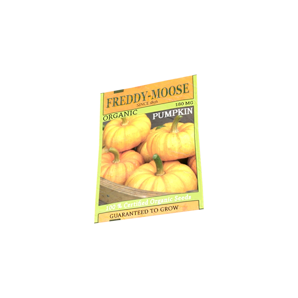 Kürbissamen-Päckchen (PumpkinSeedsPack), DayZ