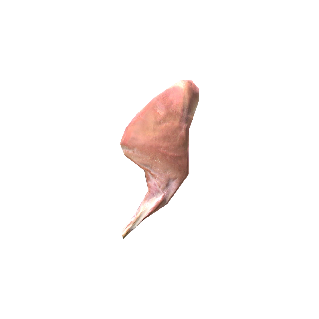 Нога зайца (RabbitLegMeat), DayZ