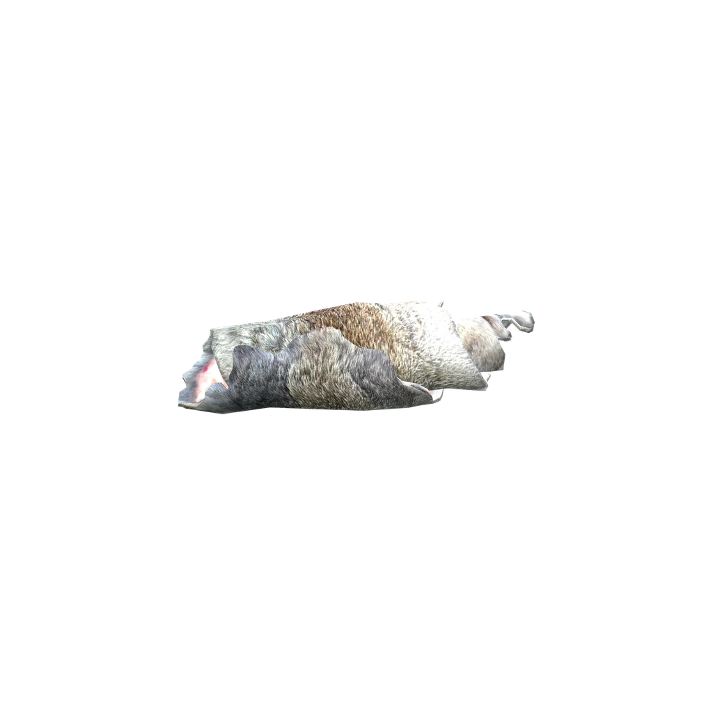 野兔皮 (RabbitPelt), DayZ
