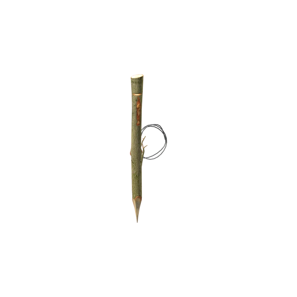 Snare Trap (RabbitSnareTrap), DayZ