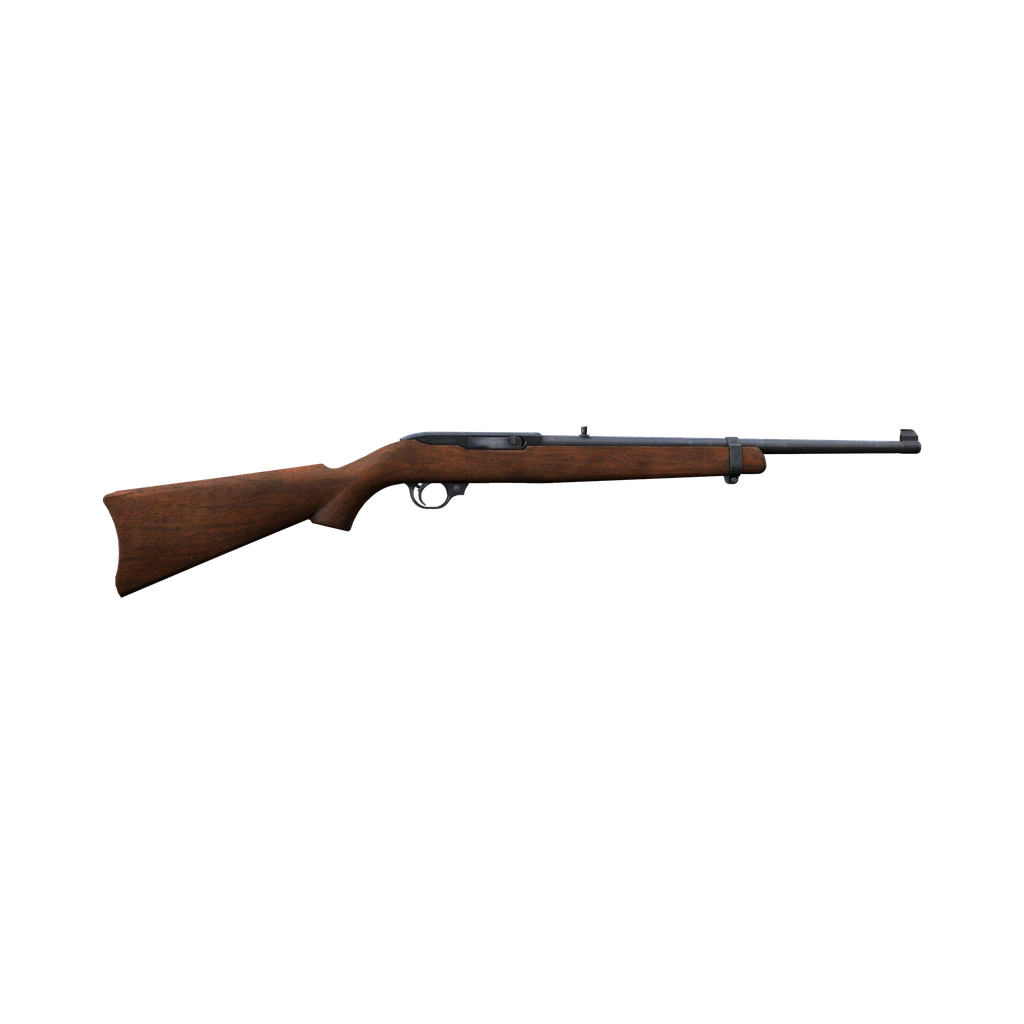 Sporter 22 (Ruger1022), DayZ