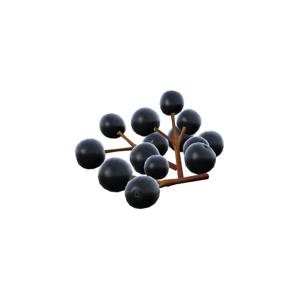Бузина (SambucusBerry), DayZ