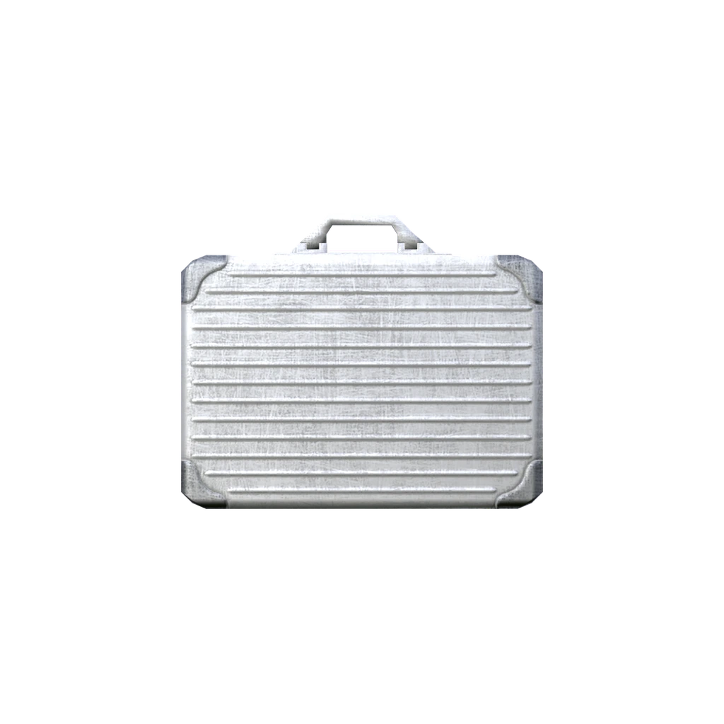 Scientific Briefcase (ScientificBriefcase), DayZ