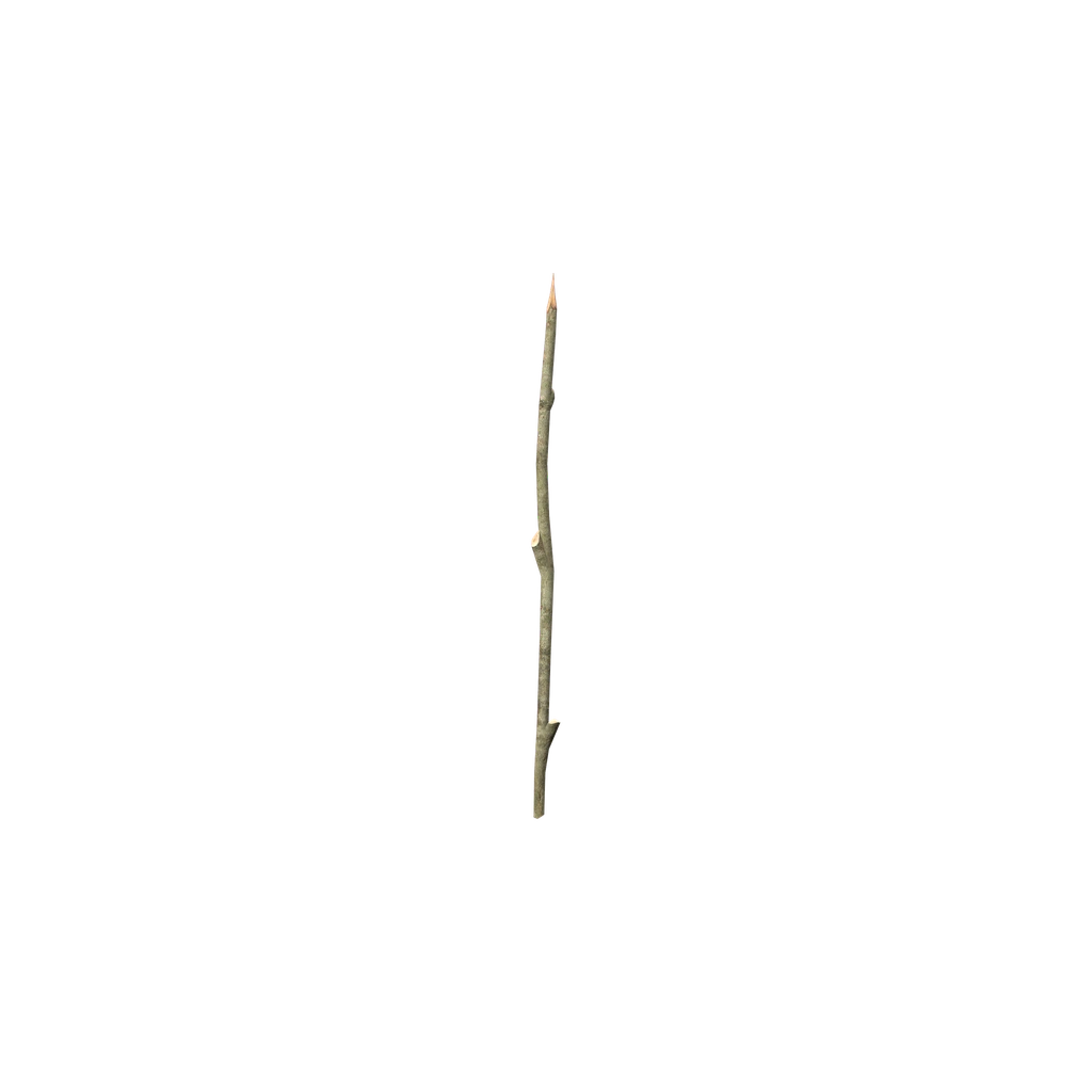 Заостренная палка (SharpWoodenStick), DayZ