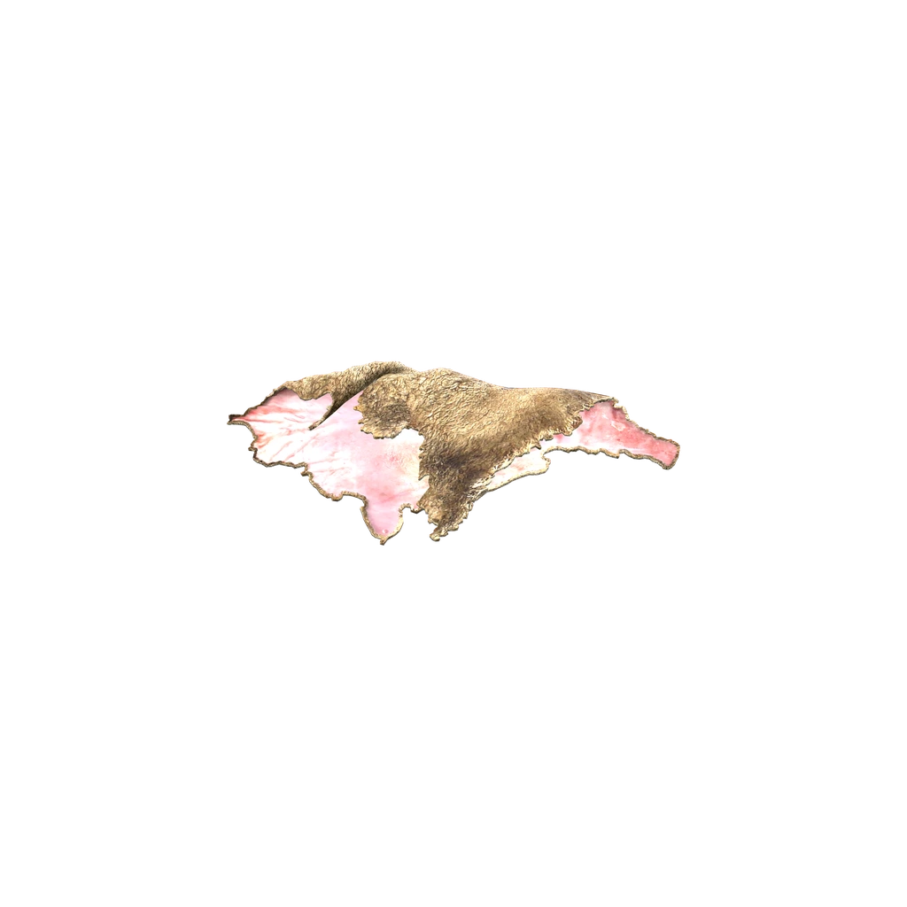 羊皮 (SheepPelt), DayZ