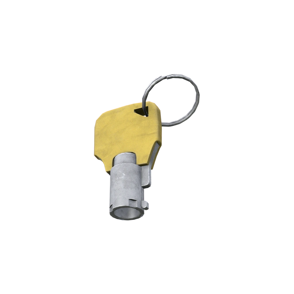 Chave de contêiner (ShippingContainerKeys_Yellow), DayZ