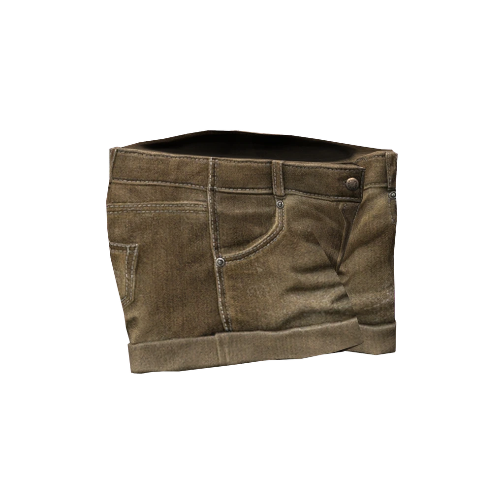 Джинсовые шорты (ShortJeans_Brown), DayZ