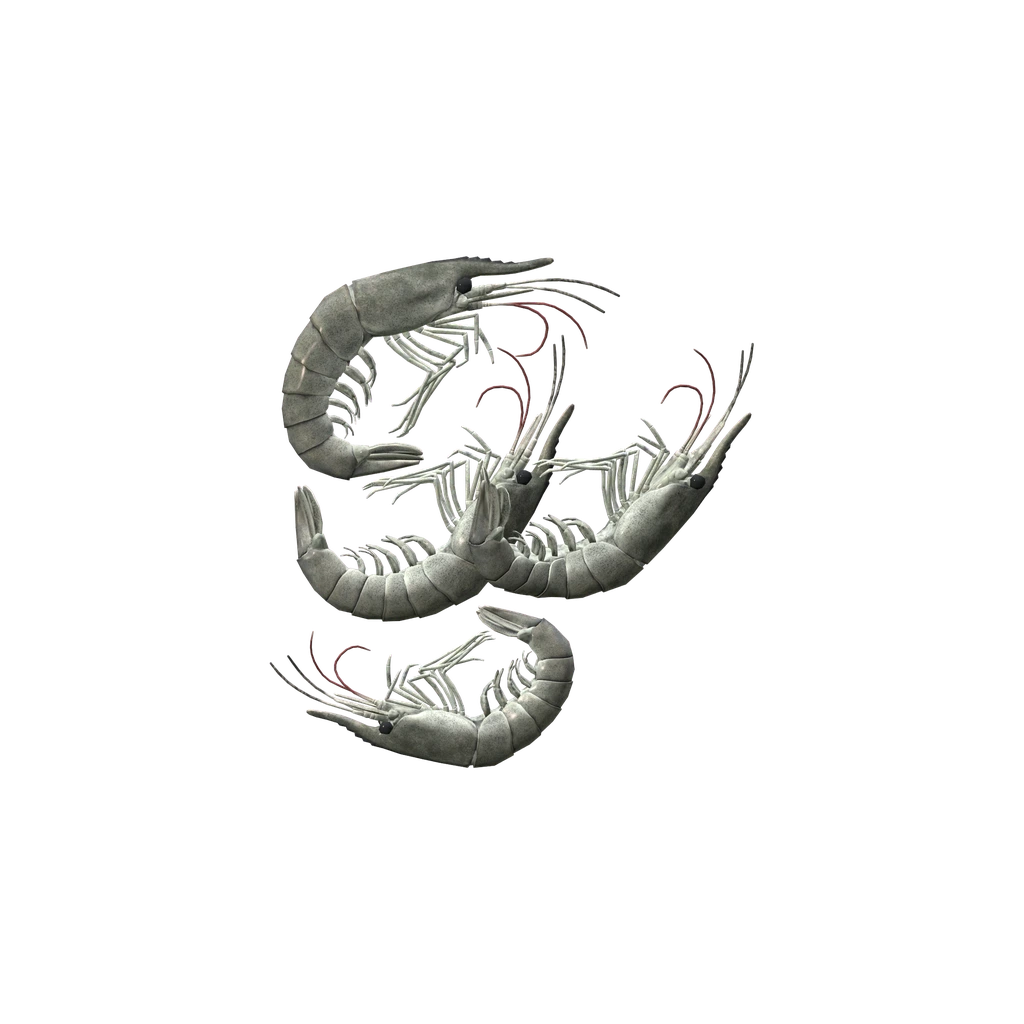 Креветка (Shrimp), DayZ