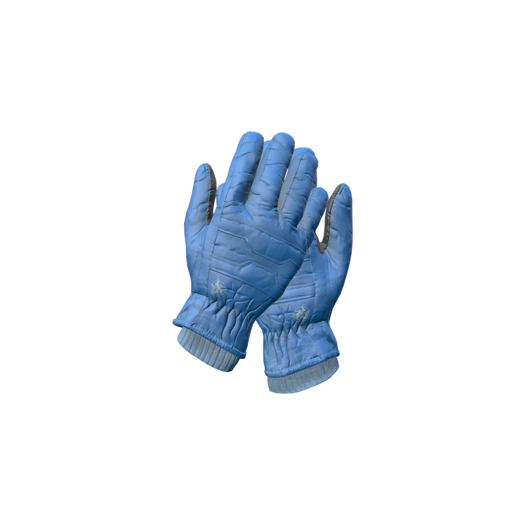 滑雪手套 (SkiGloves_Blue), DayZ