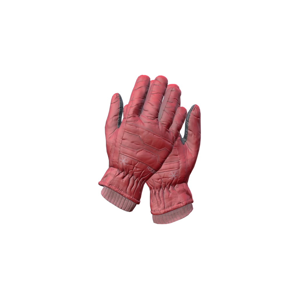 Лыжные перчатки (SkiGloves_Red), DayZ