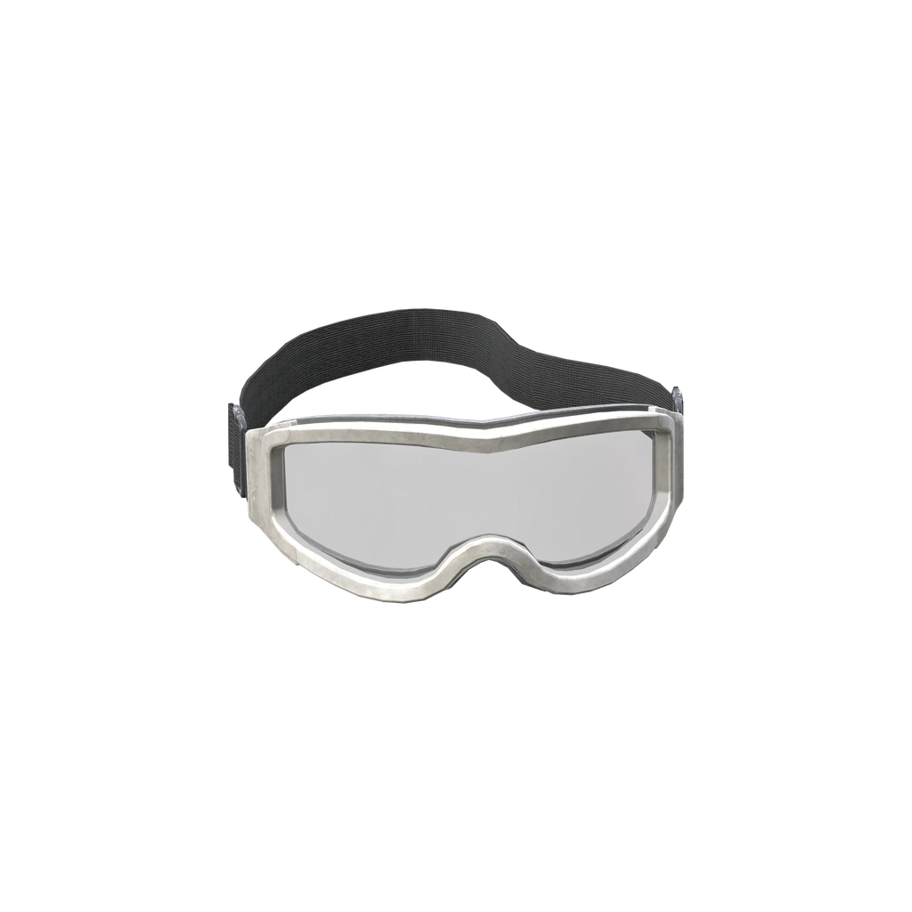 Лыжные очки (SkiGoggles_WhiteClear), DayZ