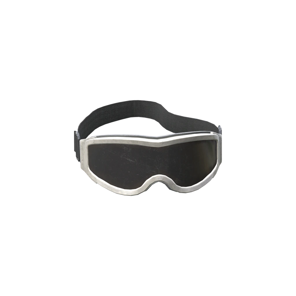 Лыжные очки (SkiGoggles_WhiteDark), DayZ