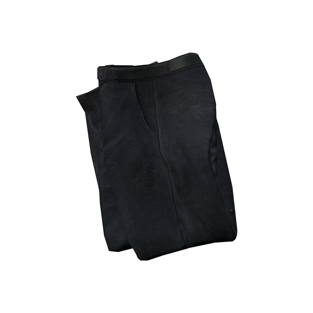 Брюки (SlacksPants_Black), DayZ