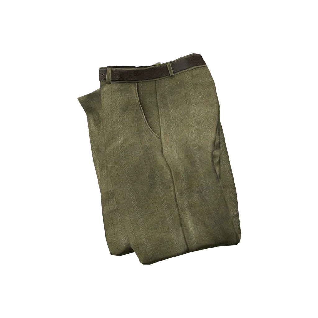 Брюки (SlacksPants_Khaki), DayZ