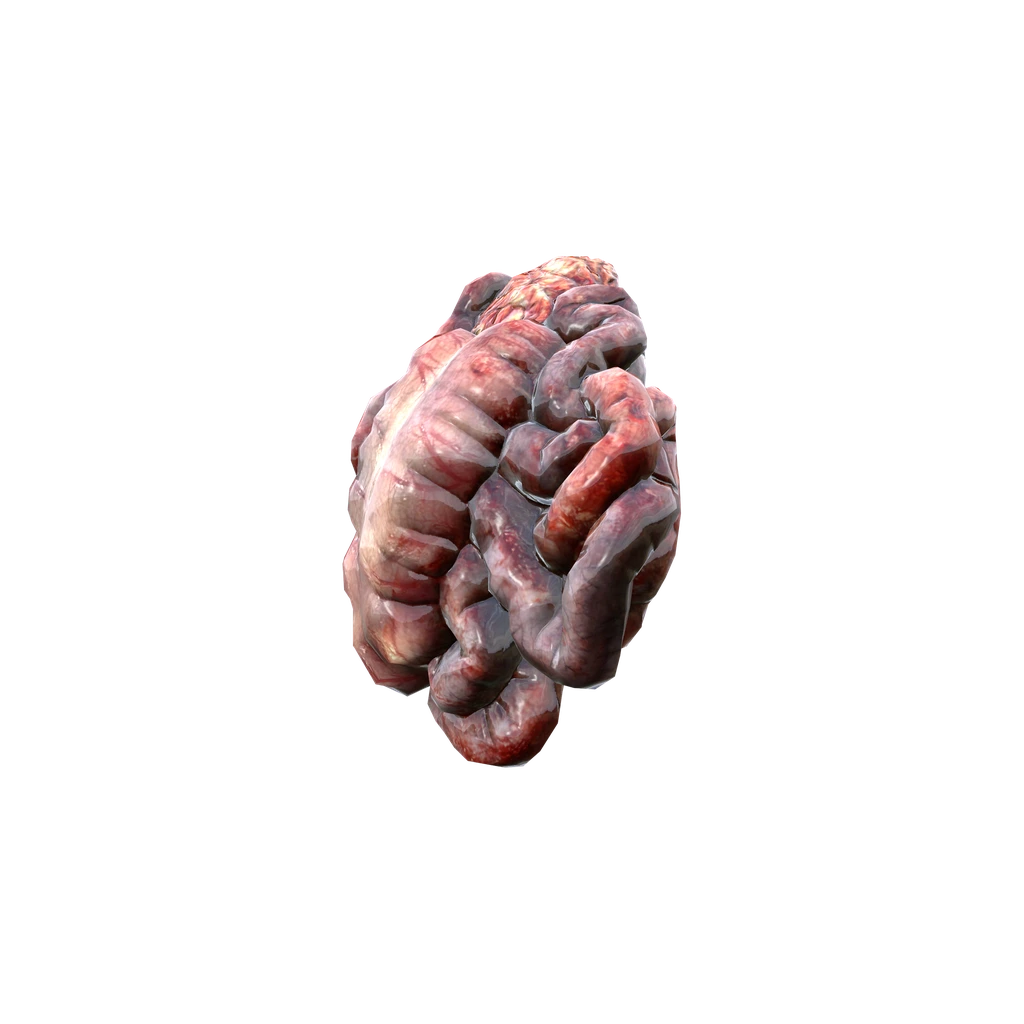 Small Guts (SmallGuts), DayZ
