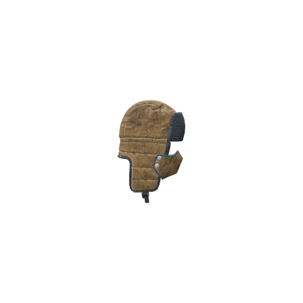 Ушанка «Метель» (SnowstormUshanka_Brown), DayZ