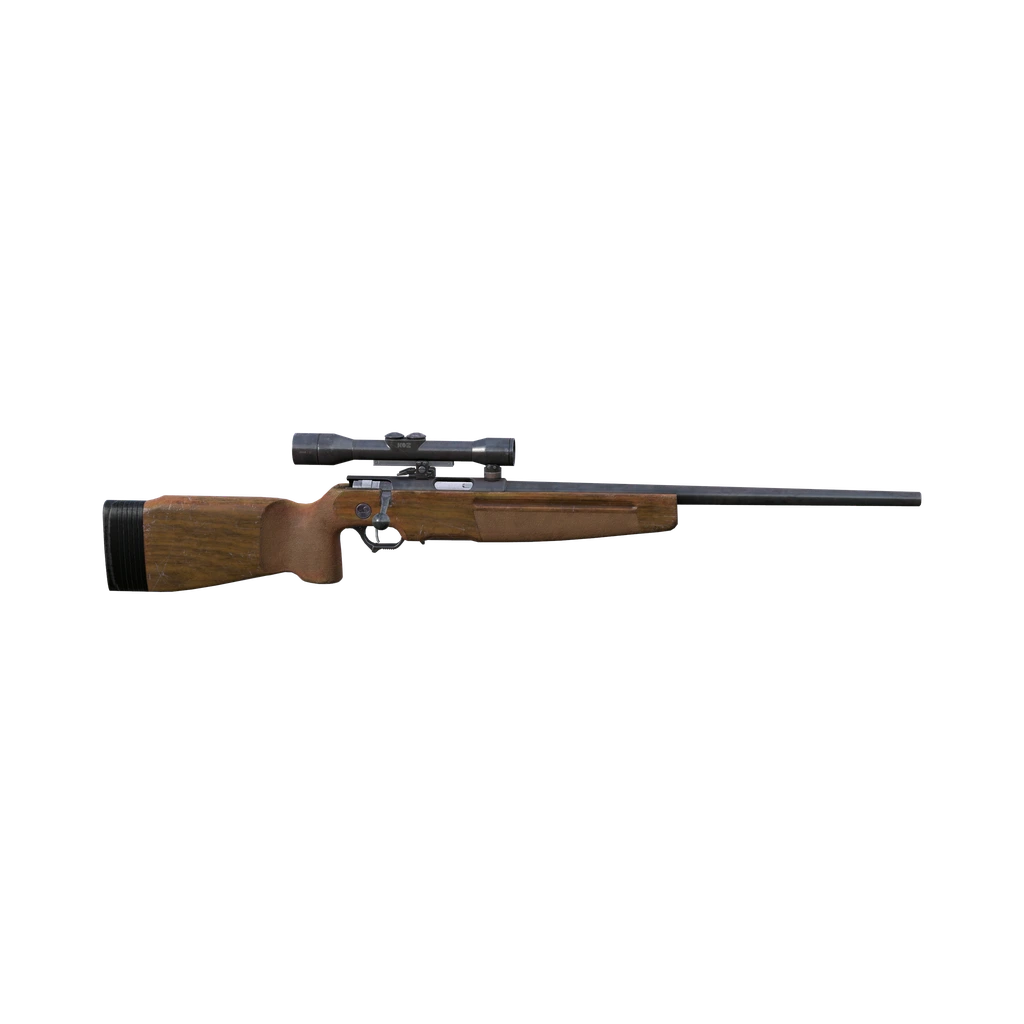SSG 82 (SSG82), DayZ