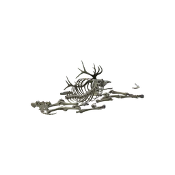 StaticObj_Forest_DeerSkeleton_Full