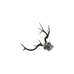 StaticObj_Forest_DeerSkeleton_Skull