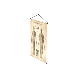 StaticObj_Furniture_anatomy_poster_1