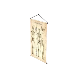 StaticObj_Furniture_anatomy_poster_2