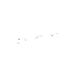 StaticObj_Garbage_Ground_6m