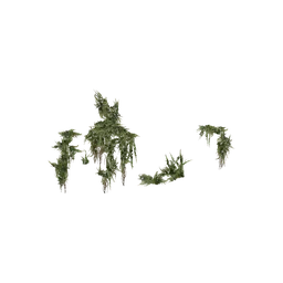 StaticObj_Ruin_Church2_Proxy_overgrowth