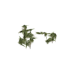 StaticObj_Ruin_HouseBig2_Half_Proxy_overgrowth