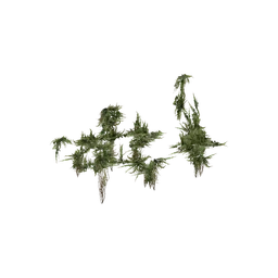StaticObj_Ruin_HouseBig3_Proxy_overgrowth