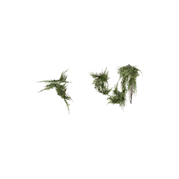 StaticObj_Ruin_HouseSmall1_Half_Proxy_overgrowth