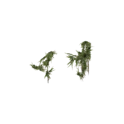 StaticObj_Ruin_HouseSmall1_Proxy_overgrowth