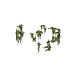 StaticObj_Ruin_HouseSmall2_Proxy_overgrowth