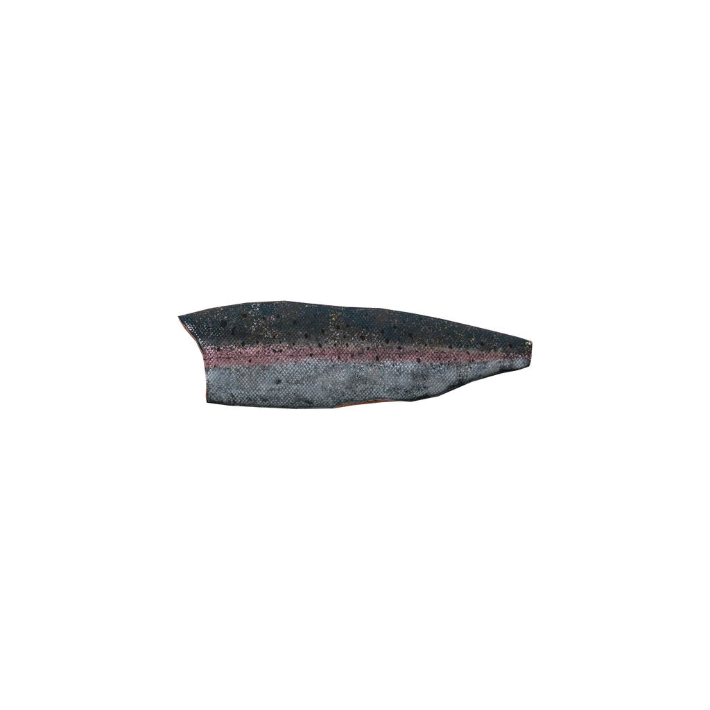 Филе радужной форели (SteelheadTroutFilletMeat), DayZ