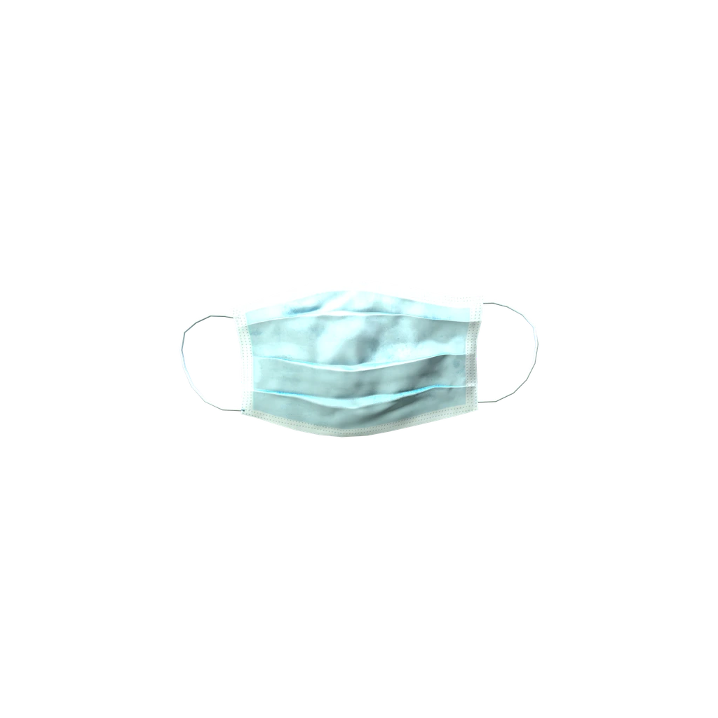 OP-Maske (SurgicalMask), DayZ