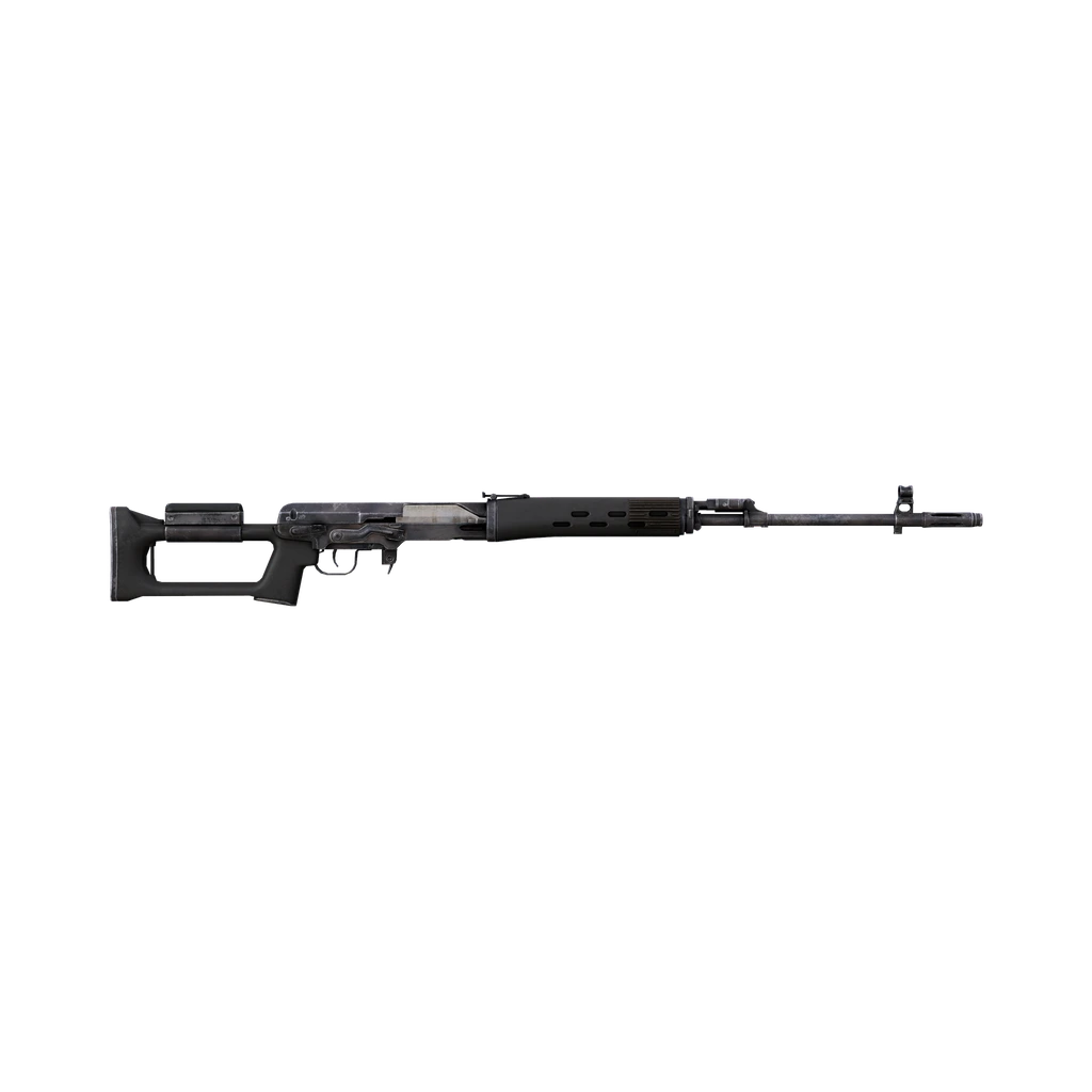 ВСД (SVD), DayZ