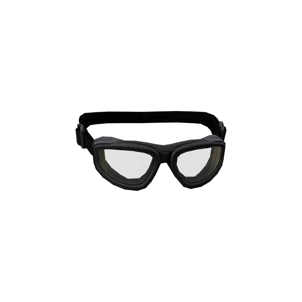 Taktische Sonnenbrille (TacticalGoggles), DayZ