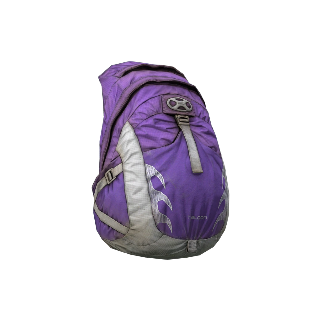 Походный рюкзак (TaloonBag_Violet), DayZ