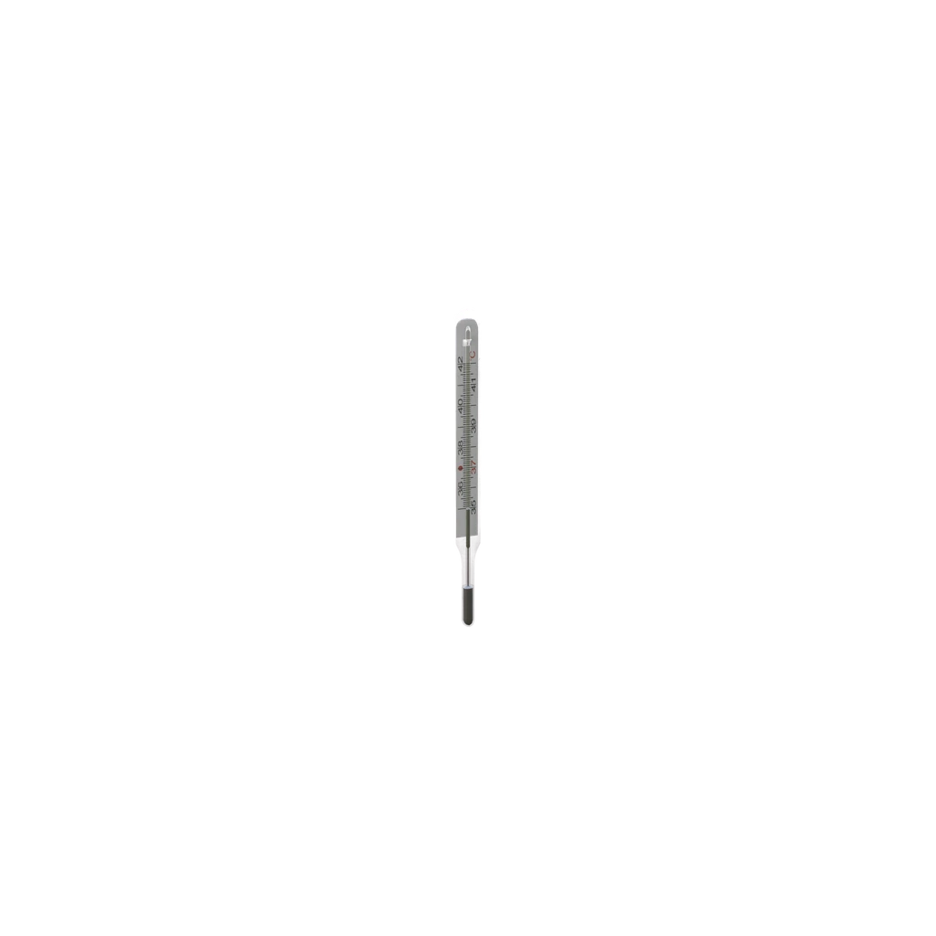 Медицинский термометр (Thermometer), DayZ