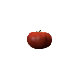Помидор