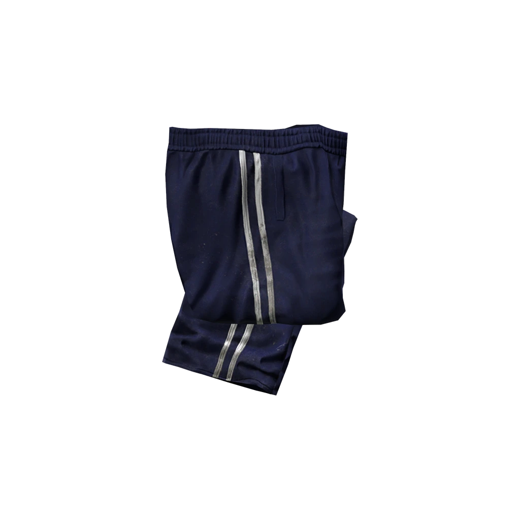 Tracksuit Pants (TrackSuitPants_Blue), DayZ
