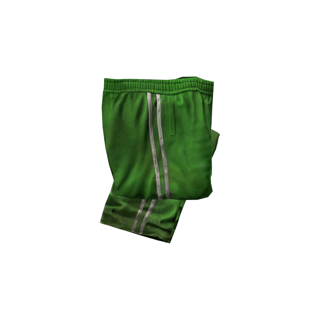 Спортивные штаны (TrackSuitPants_Green), DayZ