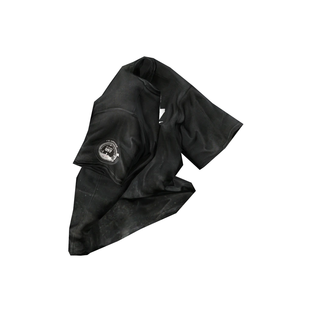 Camiseta de aniversário (TShirt_10thAnniversary), DayZ