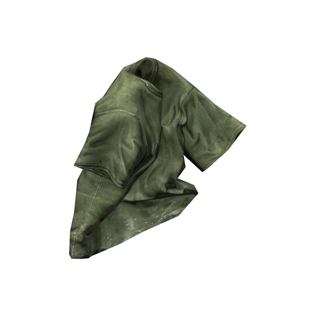 Camiseta (TShirt_Green), DayZ