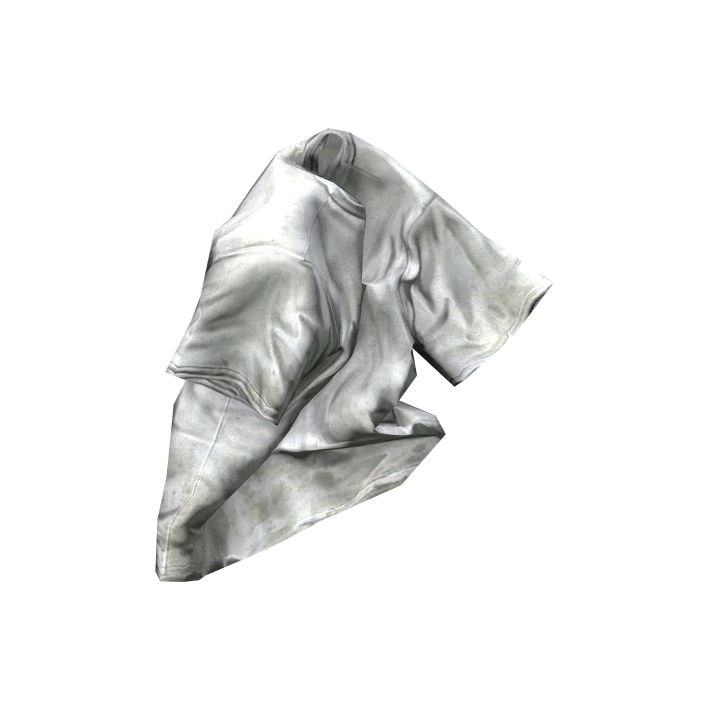 T 恤衫 (TShirt_White), DayZ